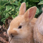 صورة 4 اقوال وطرائف