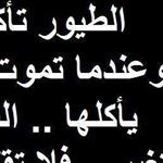 اقوال وطرائف رقم 1