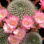 اقوال وطرائف صورة 2