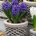 اقوال وطرائف رقم 1