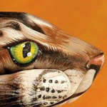 صورة 4 اقوال وطرائف