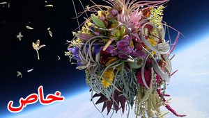 صور رائعة: فنان ياباني يرسل نباتات وباقات من الزهور الجميلة الى الفضاء.. 
