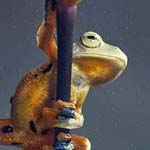 صورة 4 اقوال وطرائف