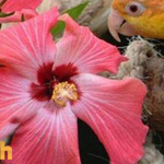 صورة 4 اقوال وطرائف
