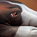 اقوال وطرائف الصورة الثالثة