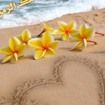 اقوال وطرائف صورة 2