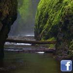 اقوال وطرائف صورة 2