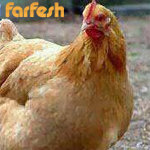 اقوال وطرائف صورة 2