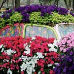 اقوال وطرائف صورة 2