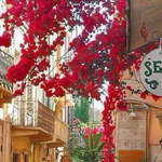 صورة 4 اقوال وطرائف