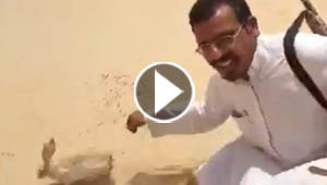 بالفيديو.. أرنب يتظاهر بالموت ويخدع صيادا ثم ينهض هاربا!