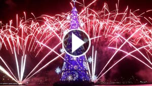 ريو دي جانيرو تضيء اكبر شجرة ميلاد بالعالم وتزن 542 طنا