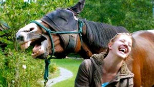 صور حيوانات طريفة: 40 صورة  تجمع بين البراءة والبسمة