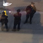 صورة 4 اقوال وطرائف