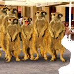 اقوال وطرائف صورة 2