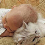 اقوال وطرائف الصورة الثالثة