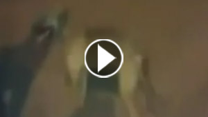 كلب يعيش حالة اشبه ما تكون بالخارقة والروحانية.. فيديو