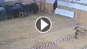 معابثة طريفة بين طفل ومصل.. وسيلتها الكرسي
