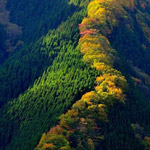 صورة 4 اقوال وطرائف