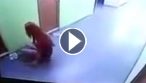 بالفيديو.. فتاة حسناء تستنشق رائحة حذاء متروك في فندق