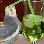 اقوال وطرائف رقم 1