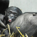 اقوال وطرائف صورة 2