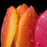 صورة 4 اقوال وطرائف