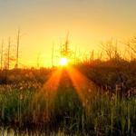 صورة 4 اقوال وطرائف