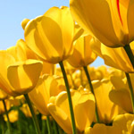 صورة 4 اقوال وطرائف