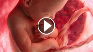 فيديو مذهل.. جنين يصفق على انغام الموسيقى داخل رحم امه