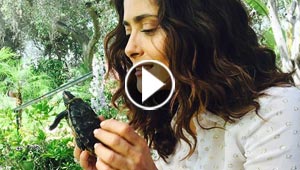 فيديو سلمى حايك تأكل الصراصير بشهية والجمهور يشعر بالاشمئزاز!!