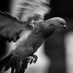 صورة 4 اقوال وطرائف