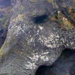 صورة 4 اقوال وطرائف