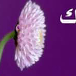 اقوال وطرائف صورة 2