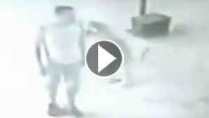 نمر يرفض محاولة احتيال رجل عليه ويهاجمه.. شاهده لحظة هجومه