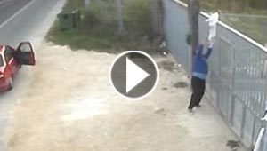  بالفيديو.. رجل يتخلص من كلبه بطريقة بشعة ويثير موجة غضب 