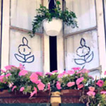 صورة 4 اقوال وطرائف