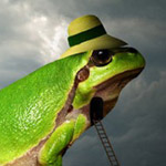 صورة 4 اقوال وطرائف