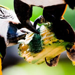 اقوال وطرائف صورة 2