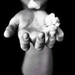 اقوال وطرائف صورة 2