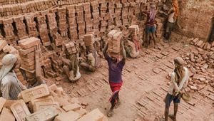صور رائعة.. مهندس يتخلى عن وظيفته ويصبح مصورا مبدعا