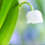 اقوال وطرائف صورة 2