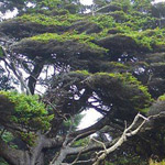 اقوال وطرائف صورة 2