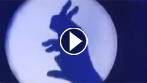  فيديو لرجل يتلاعب بالظل بشكل مثير للدهشة.. شاهد