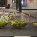 اقوال وطرائف الصورة الثالثة