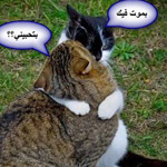 اقوال وطرائف رقم 1