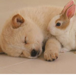 صورة 4 اقوال وطرائف