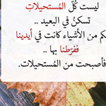 صورة 4 اقوال وطرائف