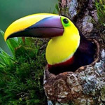 صورة 4 اقوال وطرائف