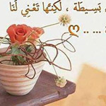 اقوال وطرائف الصورة الثالثة